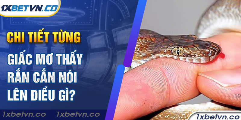 Chi tiết từng giấc mơ thấy rắn nói lên điều gì?