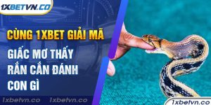 Cùng 1xbet giải mã giấc mơ thấy rắn cắn đánh con gì
