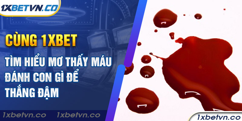 Cùng 1xbet tìm hiểu mơ thấy máu đánh con gì để thắng đậm