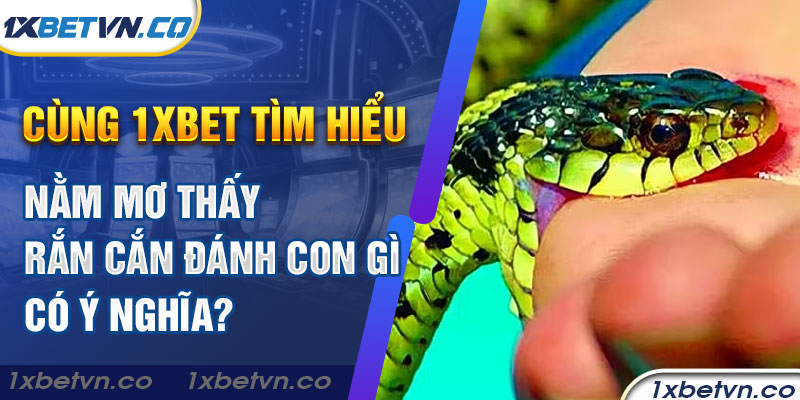 Cùng 1xbet tìm hiểu nằm mơ thấy rắn cắn đánh con gì có ý nghĩa?