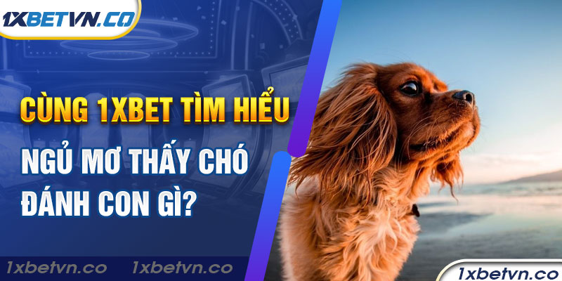 Cùng 1xbet giải mã nằm mơ thấy chó đánh con gì để thắng lớn