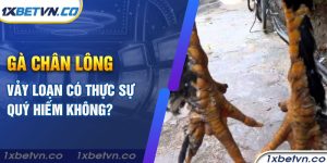 Cùng 1xbet tìm hiểu gà chân lông vảy loạn có quý hiếm không?