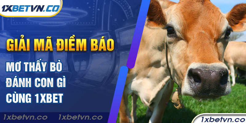 Giải mã điềm báo mơ thấy bò đánh con gì cùng 1xBet - 1XBET