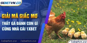 Giải mã giấc mơ thấy gà đánh con gì cùng nhà cái 1xBet