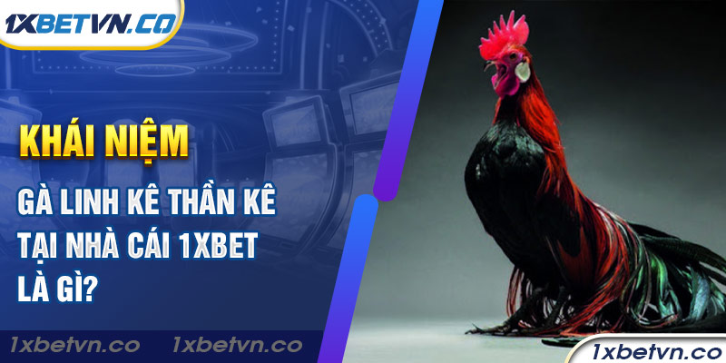 Khái niệm gà linh kê thần kê tại nhà cái 1xbet là gì?