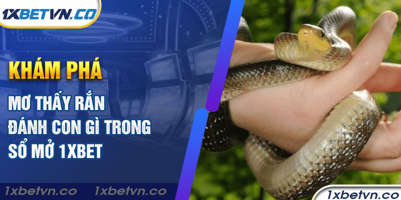 Khám phá mơ thấy rắn đánh con gì trong sổ mở 1xBet