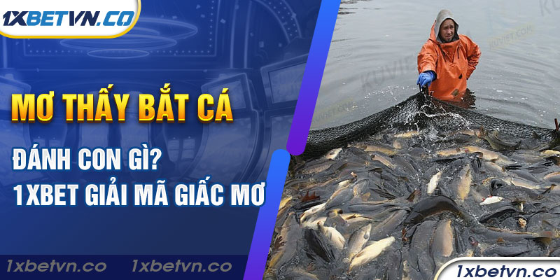 Mơ thấy bắt cá đánh con gì? 1xBet giải mã giấc mơ - 1XBET