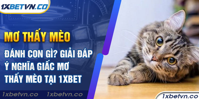 Mơ thấy mèo đánh con gì? Giải đáp giấc mơ thấy mèo tại 1xbet