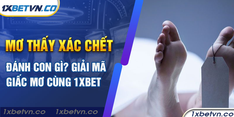 Mơ thấy xác chết đánh con gì? Giải mã giấc mơ cùng 1xbet
