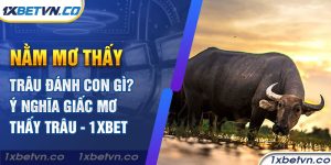 Nằm mơ thấy trâu đánh con gì? Ý nghĩa mơ thấy trâu - 1xBet