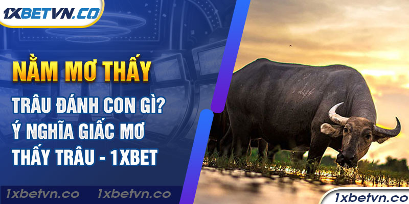 Nằm mơ thấy trâu đánh con gì? Ý nghĩa mơ thấy trâu - 1xBet