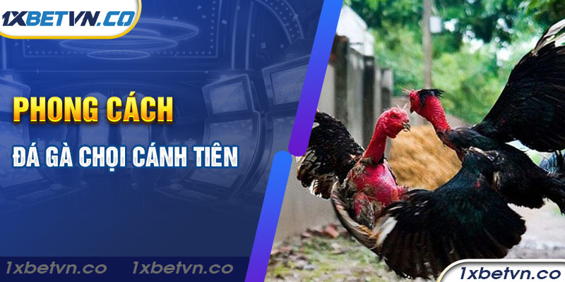 Phong cách đá gà chọi cánh tiên
