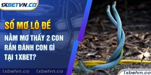 Sổ mơ lô đề nằm mơ thấy 2 con rắn đánh con gì tại 1xbet?