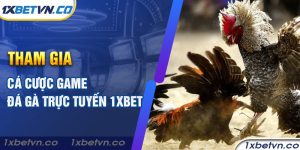 Tham gia cá cược game đá gà trực tuyến 1xbet