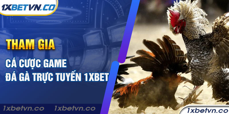Tham gia cá cược game đá gà trực tuyến 1xbet