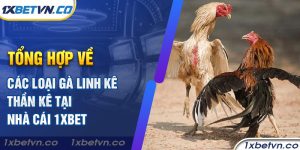 Tổng hợp về các loại gà linh kê thần kê tại nhà cái 1xbet