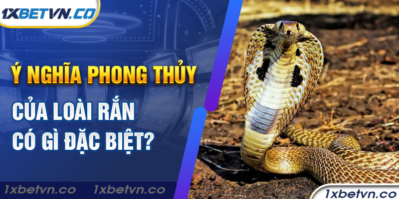 Ý nghĩa phong thủy của loài rắn có gì đặc biệt?