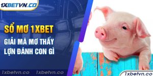 Sổ mơ 1xBet giải mã mơ thấy lợn đánh con gì 
